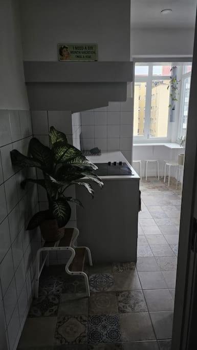 Accommodatie bij particulieren Solo Grande Con Balcon